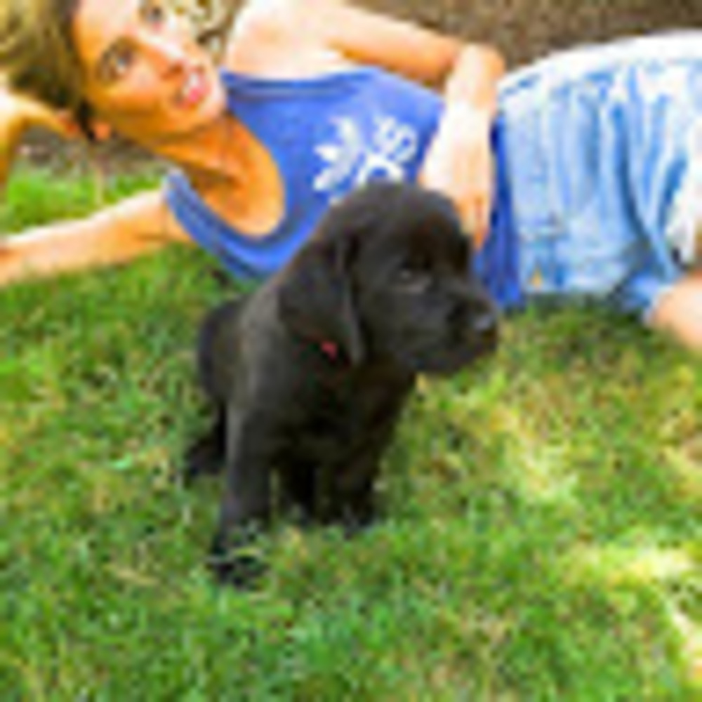 Meet your Posher, Alexandra